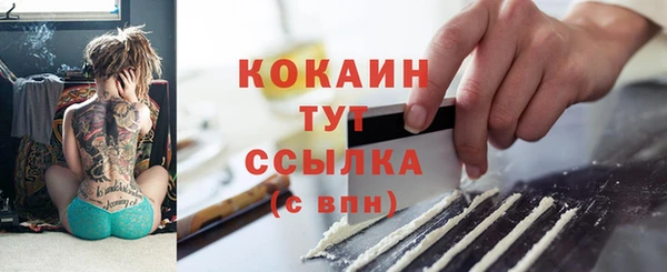 ГАЛЛЮЦИНОГЕННЫЕ ГРИБЫ Строитель