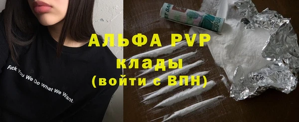 ГАЛЛЮЦИНОГЕННЫЕ ГРИБЫ Строитель