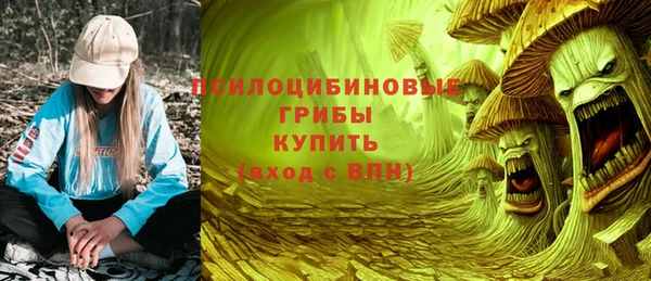 ГАЛЛЮЦИНОГЕННЫЕ ГРИБЫ Строитель