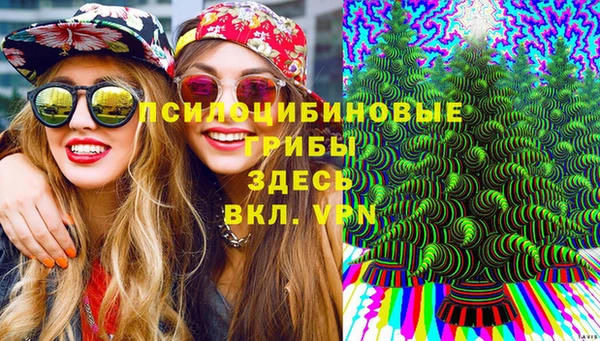 трава Аша