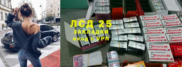ГАЛЛЮЦИНОГЕННЫЕ ГРИБЫ Строитель