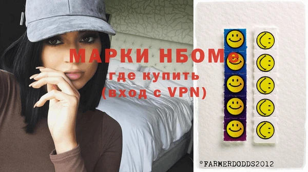 ГАЛЛЮЦИНОГЕННЫЕ ГРИБЫ Строитель