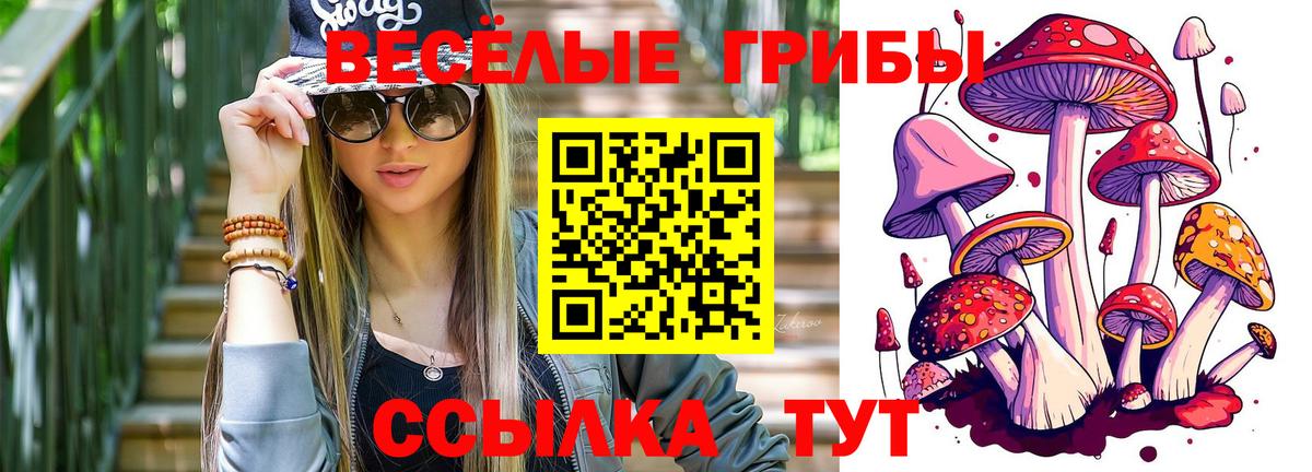 Галлюциногенные грибы мухоморы  Вход с VPN  Унеча 