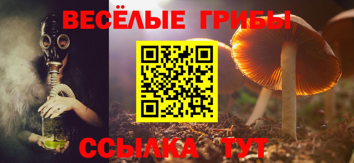 Псилоцибиновые грибы MAGIC MUSHROOMS Унеча